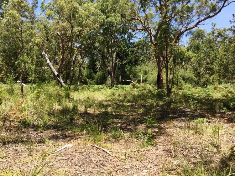 Fifth view of Homely rural property listing, Lot 17 Nardoo Street, Pindimar NSW 2324