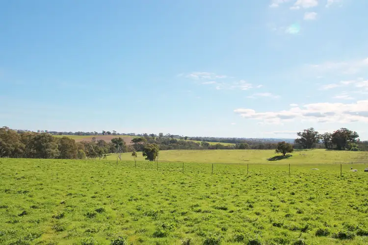 251 Rhodes Road, Young NSW 2594