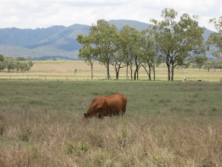 Main view of Homely rural property listing, 71450 "Ballendown" Bruce Highway, Marlborough QLD 4705