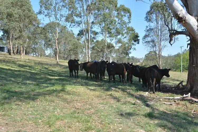 Fourth view of Homely house listing, 2486 Glendonbrook Road, Gresford NSW 2311