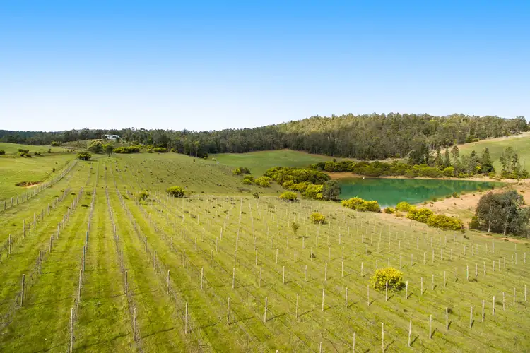 Fifth view of Homely rural property listing, Address available on request