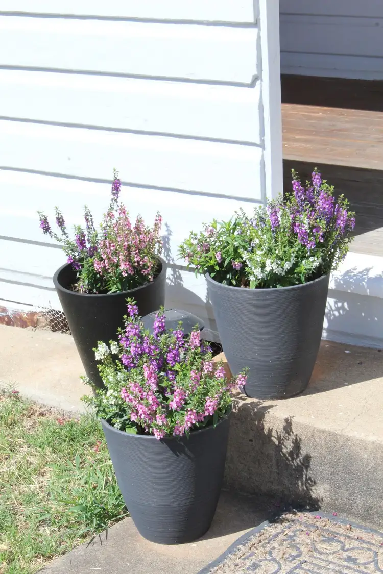 Second view of Homely house listing, 18 Riddell Street, Bingara NSW 2404