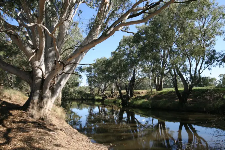 Second view of Homely rural property listing, 4979 Northern Highway, Elmore VIC 3558