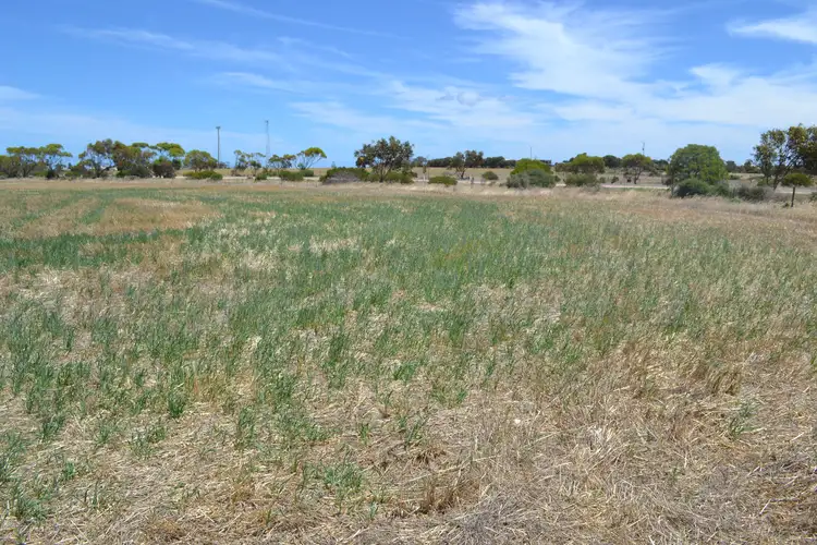 Fourth view of Homely land listing, 146 (Lot 22) Investigator Road, Port Victoria SA 5573