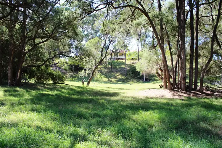 Fourth view of Homely rural property listing, 11 McGreevy Lane, Ivory Creek QLD 4313