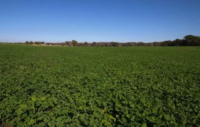 Main view of Homely rural property listing, Address available on request