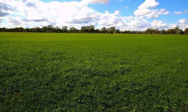 Fourth view of Homely rural property listing, Address available on request