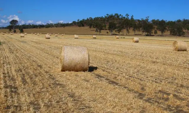 Fifth view of Homely rural property listing, Address available on request