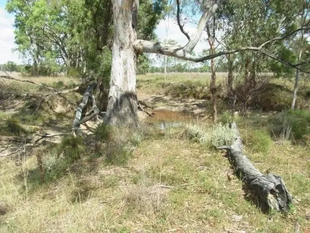 Lot 36 Leyburn Forestry Road, Thanes Creek QLD 4370