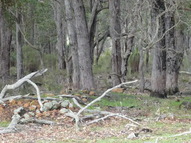 Fourth view of Homely rural property listing, Lot 2249 Rocky Gully Road, Rocky Gully WA 6397