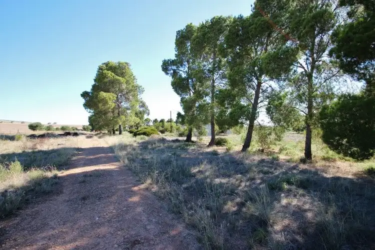 Fourth view of Homely land listing, 19-25 Robert Street, Lochiel SA 5510