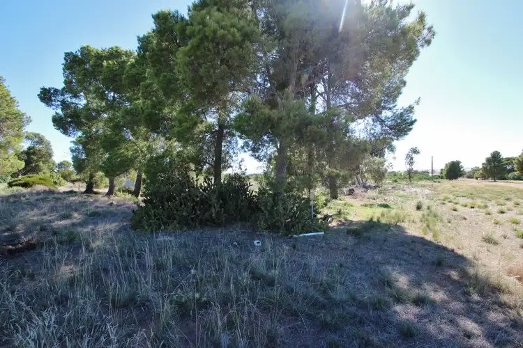 Fifth view of Homely land listing, 19-25 Robert Street, Lochiel SA 5510