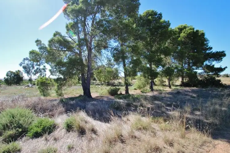 Sixth view of Homely land listing, 19-25 Robert Street, Lochiel SA 5510