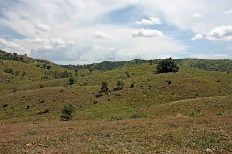 Second view of Homely rural property listing, 1494 Sub East End Road, Mount Larcom QLD 4695