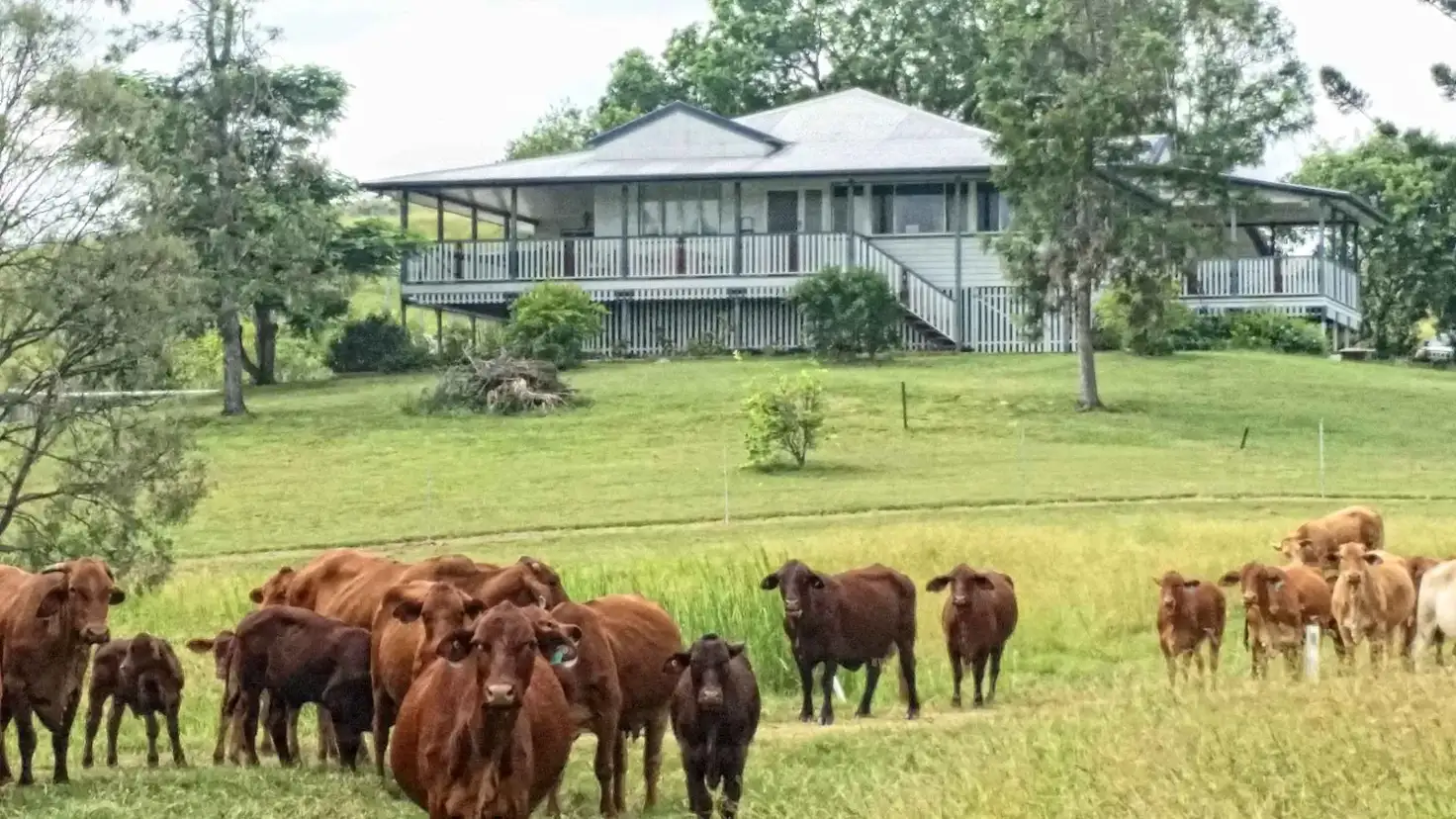 Main view of Homely rural property listing, 1494 East End Road, Mount Larcom QLD 4695