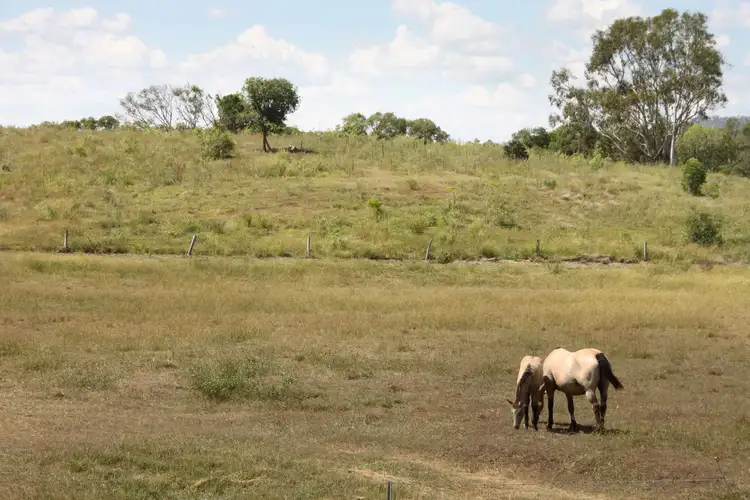 Fourth view of Homely rural property listing, 1494 East End Road, Mount Larcom QLD 4695