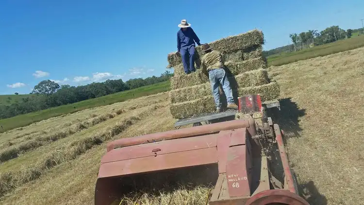 Seventh view of Homely rural property listing, 1494 East End Road, Mount Larcom QLD 4695