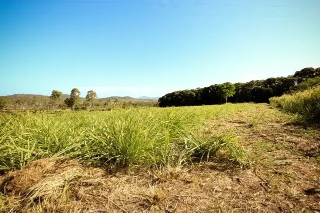 Main view of Homely rural property listing, 739 Keppel Sands Road, Keppel Sands QLD 4702