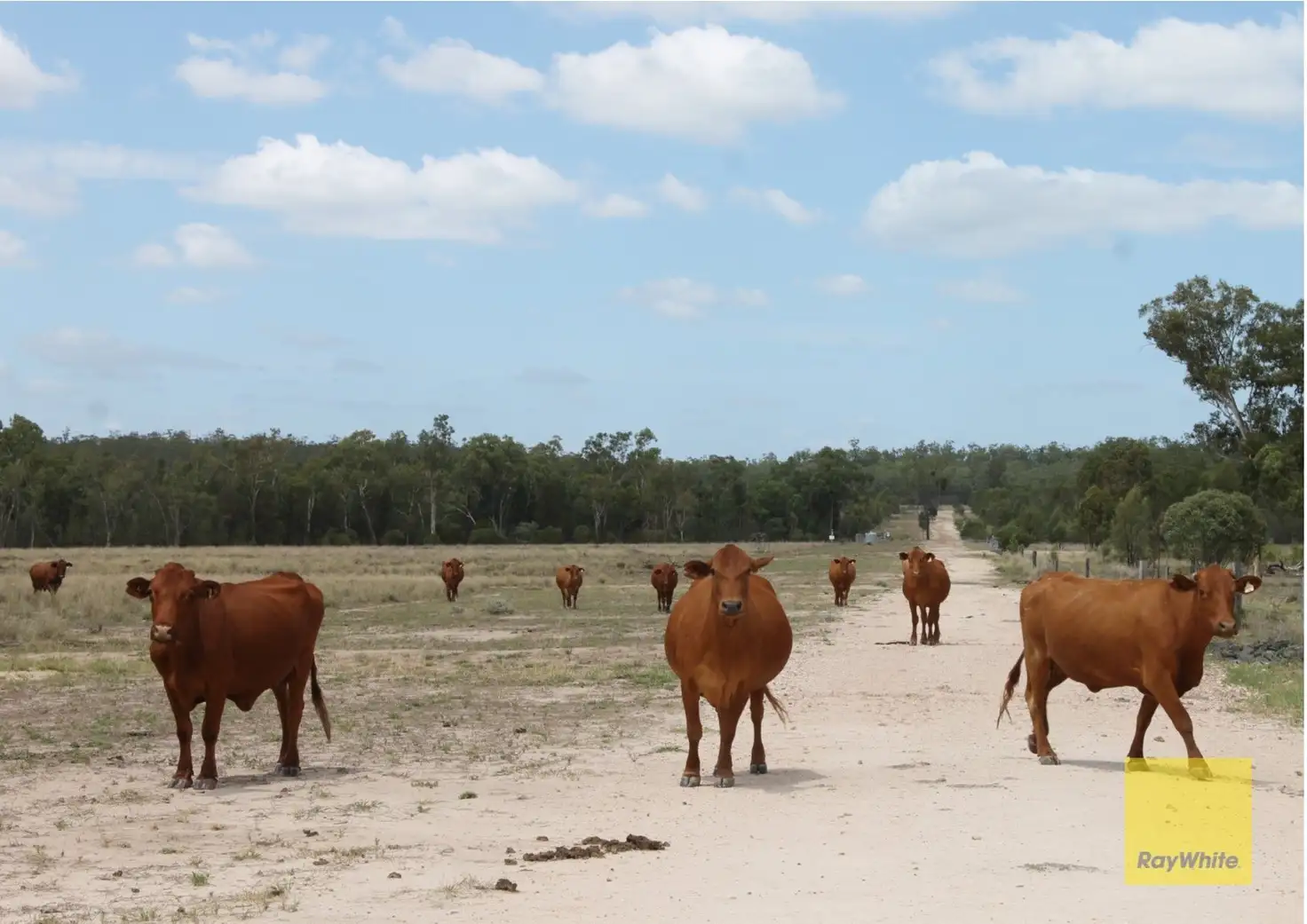 Main view of Homely rural property listing, 0 BEELBEE Road, Dalby QLD 4405