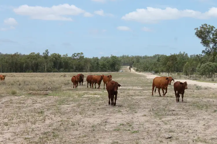 Seventh view of Homely rural property listing, 0 BEELBEE Road, Dalby QLD 4405