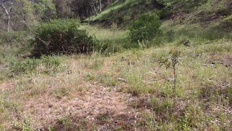 Fifth view of Homely rural property listing, ' Wilderness Retreat' 1531 Left Hand Branch Road, Thornton QLD 4341