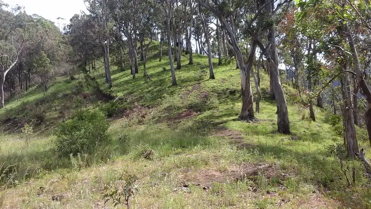 Seventh view of Homely rural property listing, ' Wilderness Retreat' 1531 Left Hand Branch Road, Thornton QLD 4341