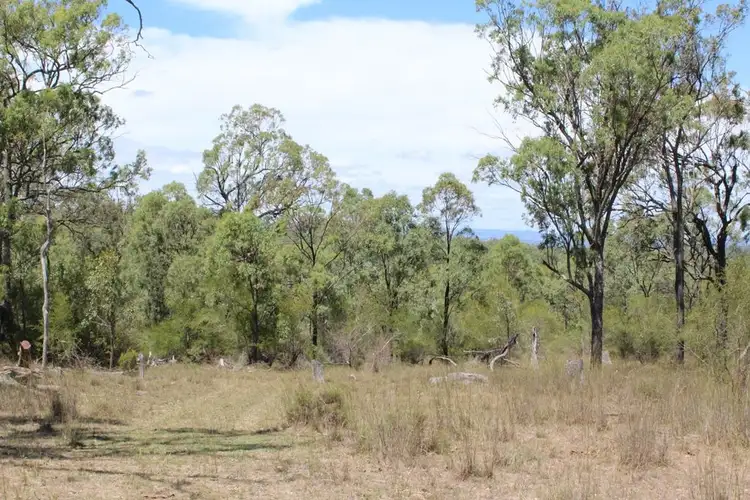 Seventh view of Homely rural property listing, Lot 2172 Morgan Park Road, Wildash QLD 4370
