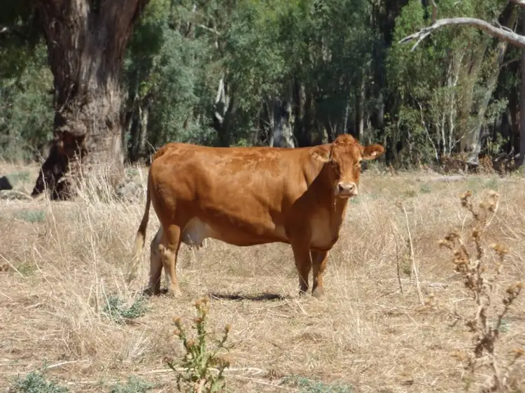 Second view of Homely land listing, Address available on request