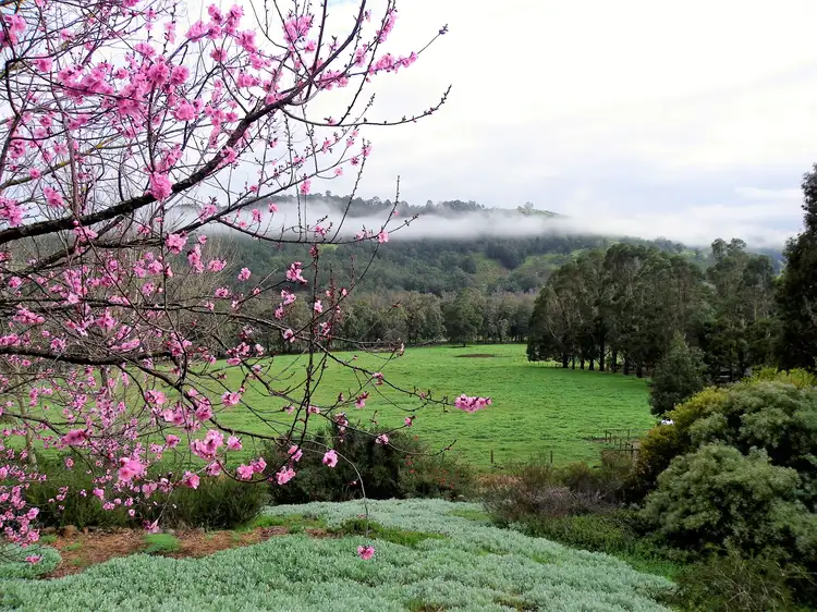 Main view of Homely rural property listing, Address available on request