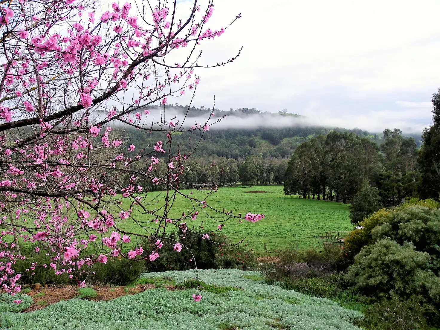 Main view of Homely rural property listing, Address available on request