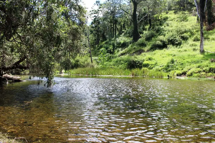 Second view of Homely rural property listing, 346 Cressbrook Creek Road, Biarra QLD 4313