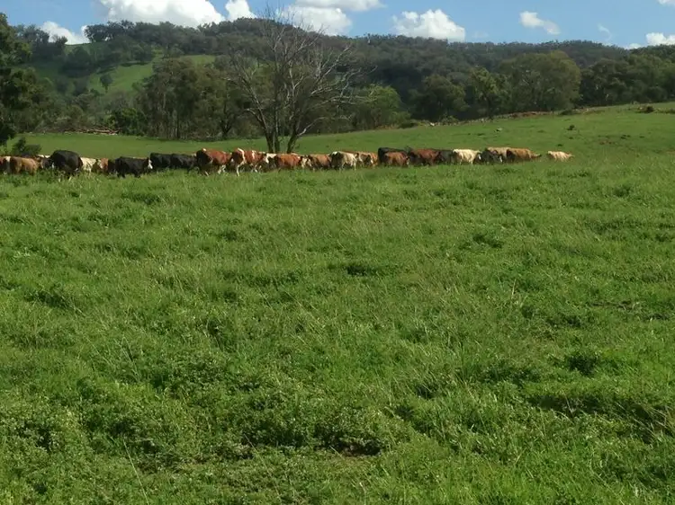 Fourth view of Homely rural property listing, '' Coghlan", Weabonga NSW 2340
