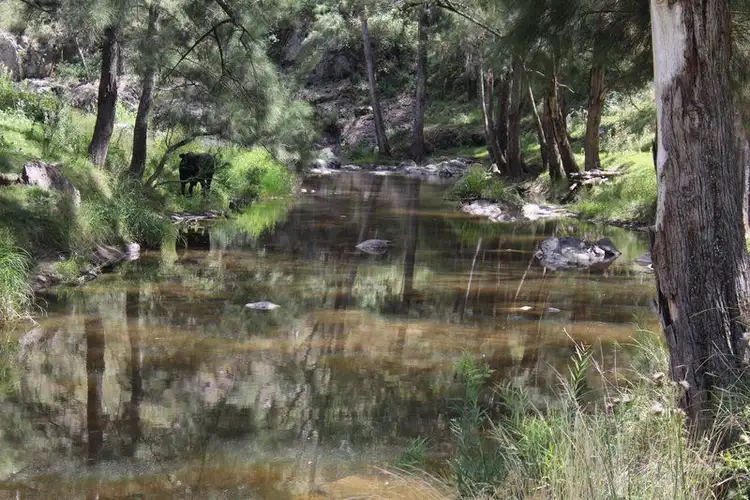 Sixth view of Homely rural property listing, '' Coghlan", Weabonga NSW 2340