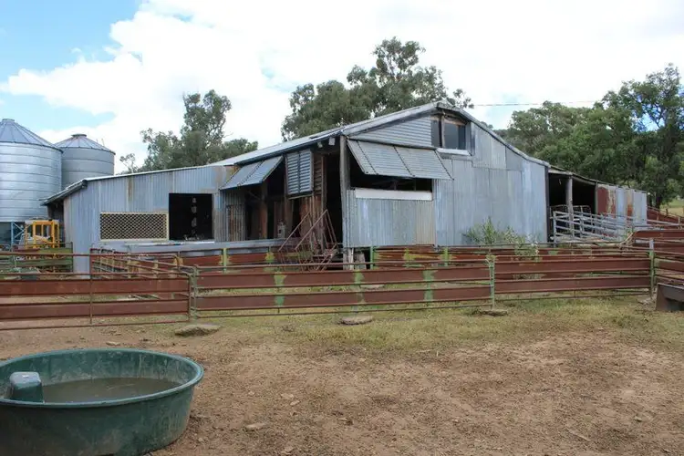 Seventh view of Homely rural property listing, '' Coghlan", Weabonga NSW 2340