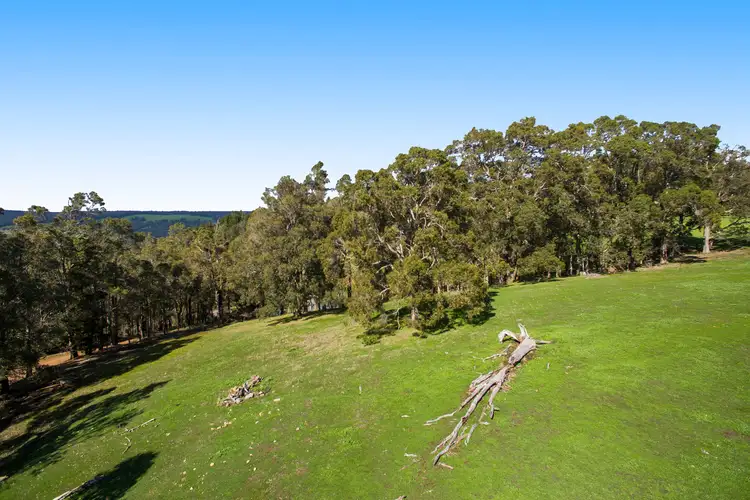 Second view of Homely rural property listing, Lot 3 Boundary Road, Nannup WA 6275