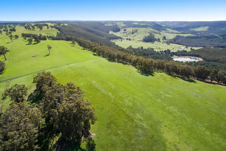 Fifth view of Homely rural property listing, Lot 3 Boundary Road, Nannup WA 6275