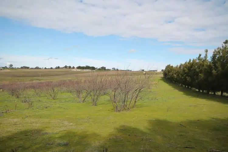Sixth view of Homely land listing, 65 Cherry Vale Place, Young NSW 2594