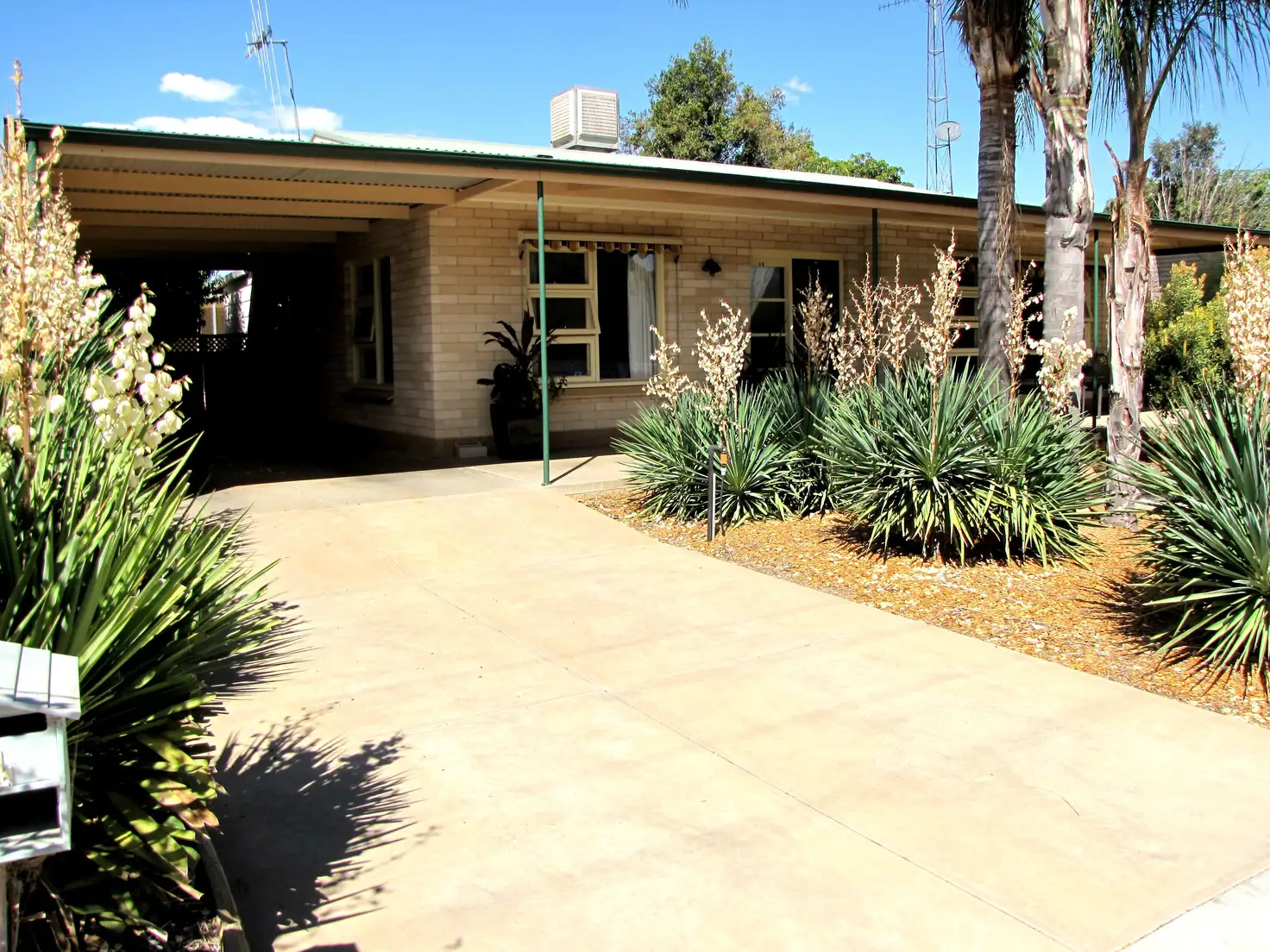Main view of Homely house listing, 14 Nookamka Terrace, Barmera SA 5345