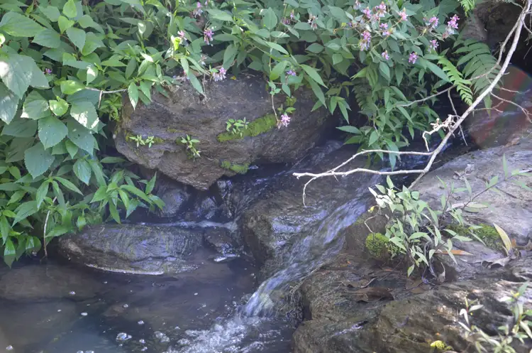 Fifth view of Homely rural property listing, Address available on request