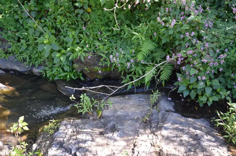 Sixth view of Homely rural property listing, Address available on request