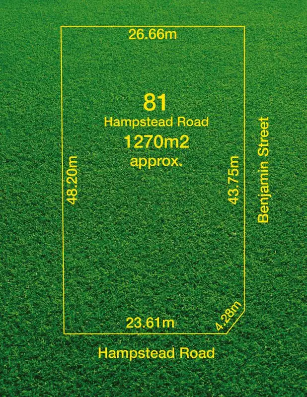 Main view of Homely house listing, 81 Hampstead Road, Manningham SA 5086