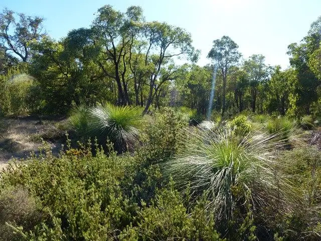 Main view of Homely land listing, 6 Tassel Court, Lower Chittering WA 6084