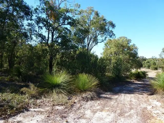 Third view of Homely land listing, 6 Tassel Court, Lower Chittering WA 6084