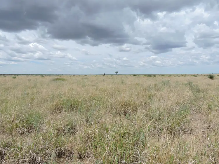 Third view of Homely rural property listing, 31501 Barcaldine Road, Blackall QLD 4472