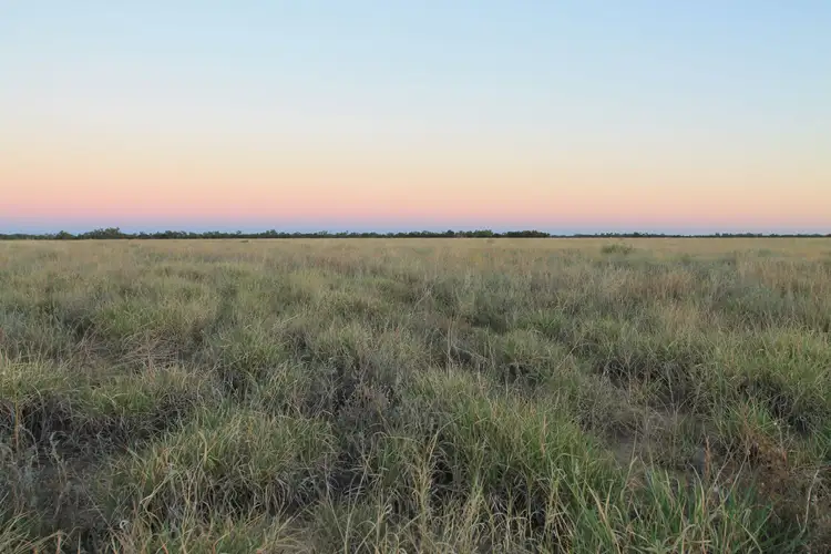 Fifth view of Homely rural property listing, 31501 Barcaldine Road, Blackall QLD 4472