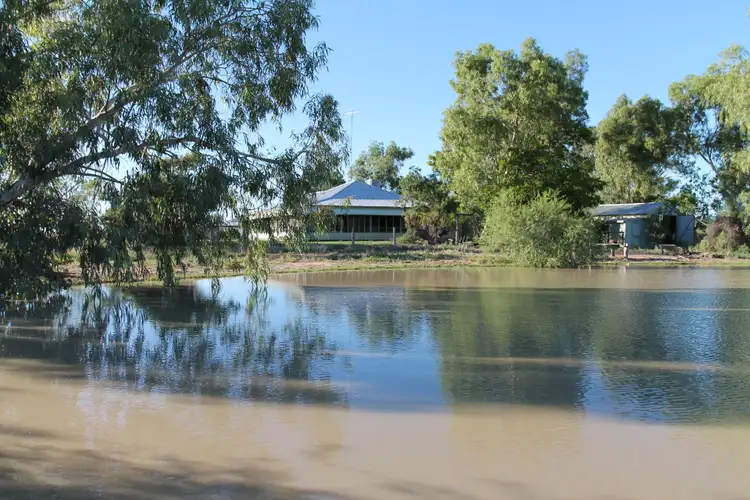Second view of Homely rural property listing, 31501 Barcaldine Road, Blackall QLD 4472
