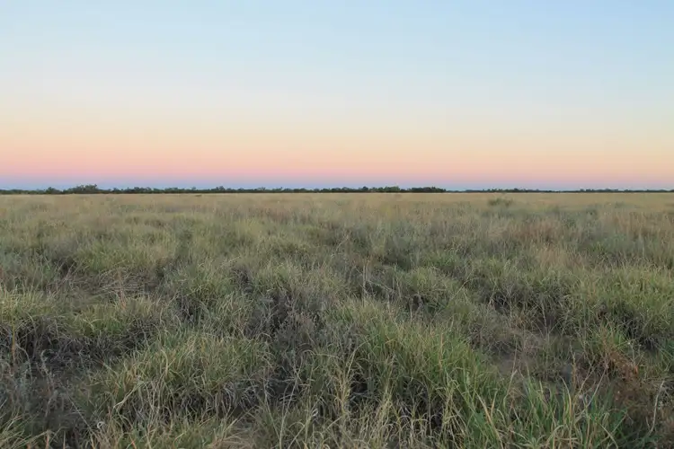 Fifth view of Homely rural property listing, 31501 Barcaldine Road, Blackall QLD 4472