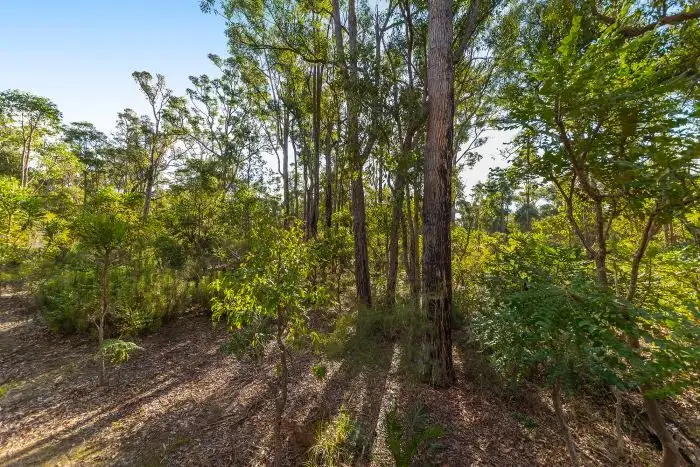 Third view of Homely rural property listing, 54 Leschenaultia Drive, Nannup WA 6275