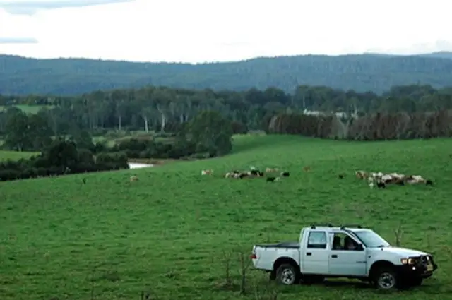 Fifth view of Homely rural property listing, 1461 Tyringham Road, Dorrigo NSW 2453