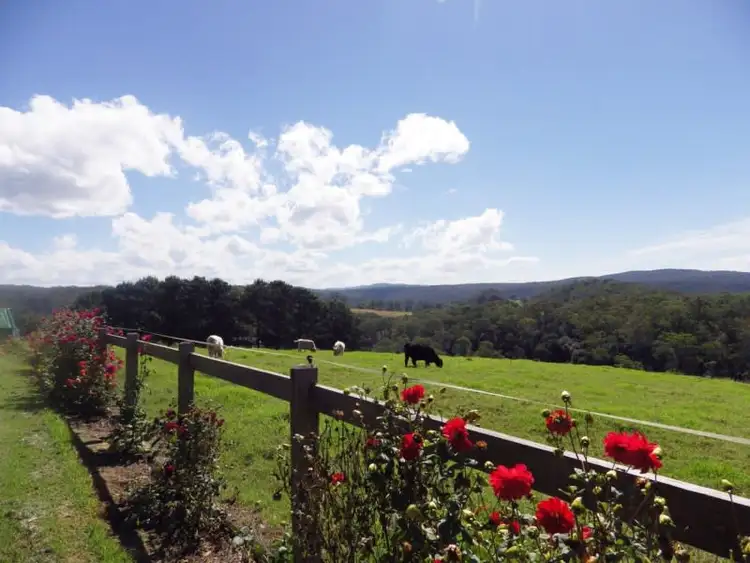 Second view of Homely rural property listing, 1026 Tyringham Road, Dorrigo NSW 2453